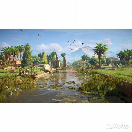 Assassins Creed Истоки витринный образец (xboxone)