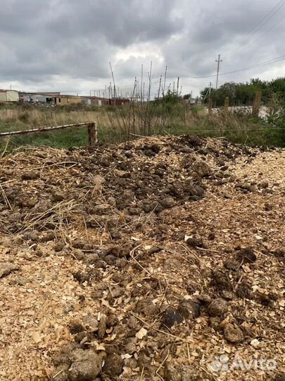 Мульча, удобрение, навоз