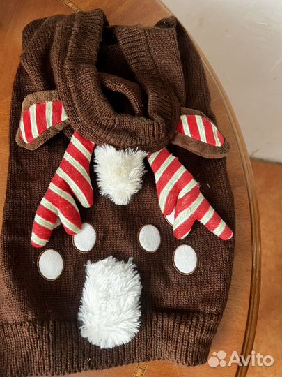 Одежда для маленьких собак