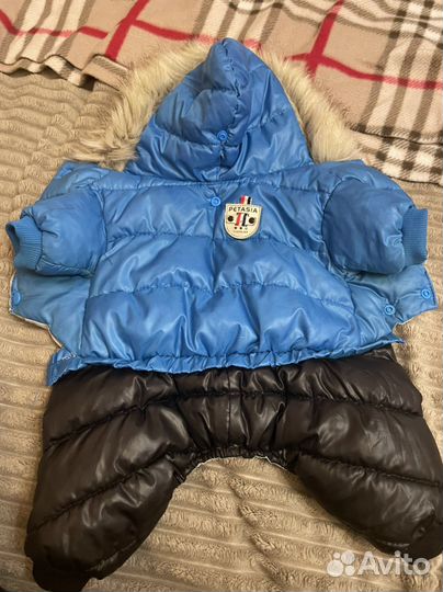 Одежда для собак