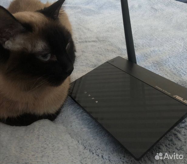 Wifi роутер asus