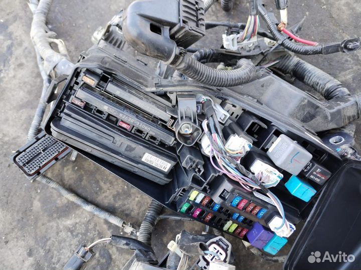 Камри 2.0 проводка в сборе сблоком и эбу