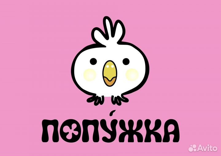 Передержка попугаев