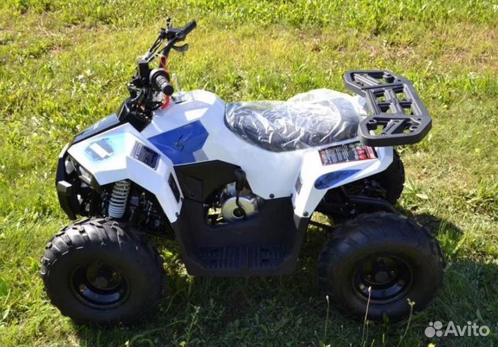 Квадроцикл TAO Motor Mudhawk 110
