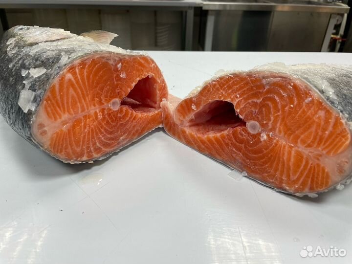 Форель морская охлажденная