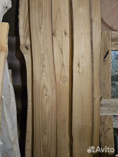 Карагач термо