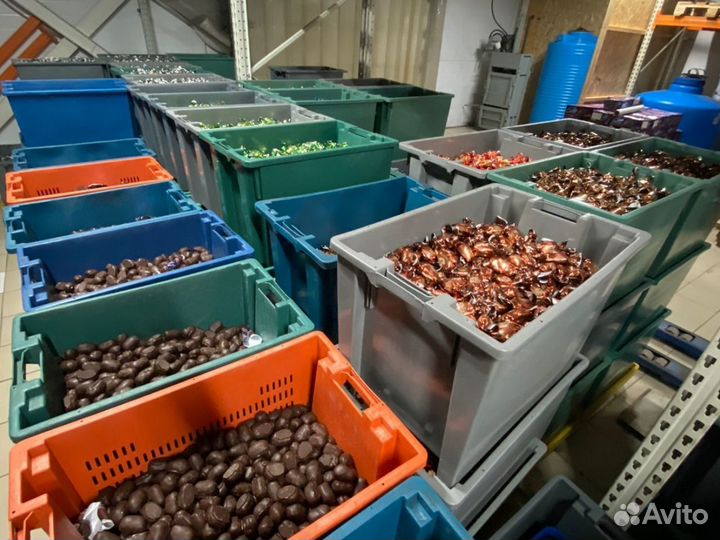 Конфеты оптом сладости