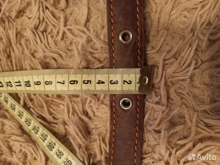 Ошейник и поводок