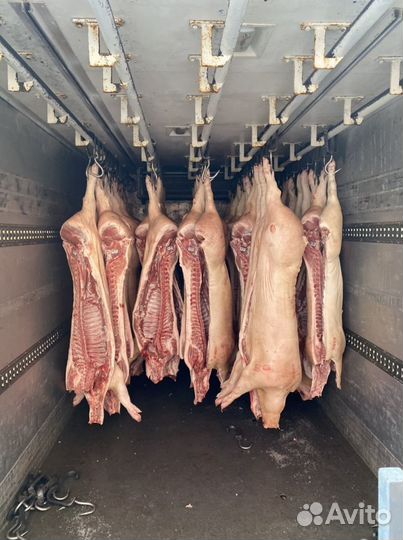 Мясо свинины в полутушах