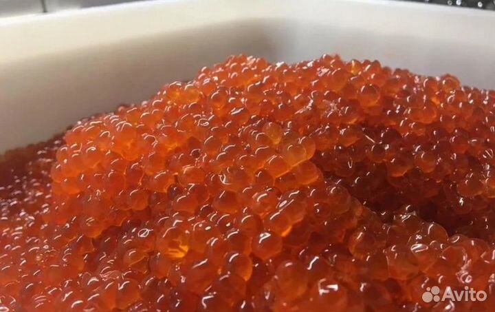 Красная икра