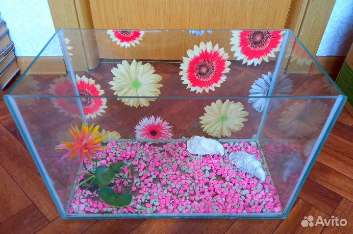 Два аквариума по 20 литров. Доставка