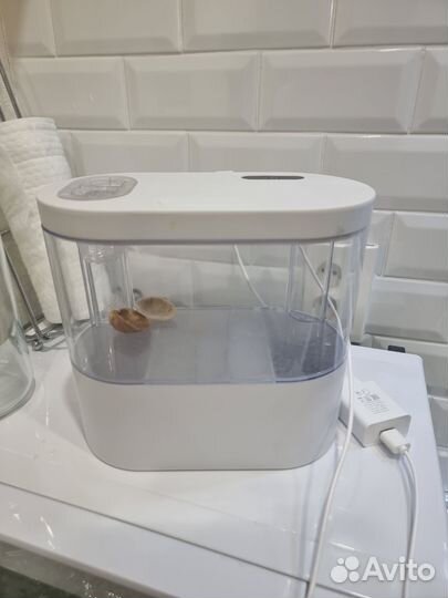 Мини аквариум 2 литра