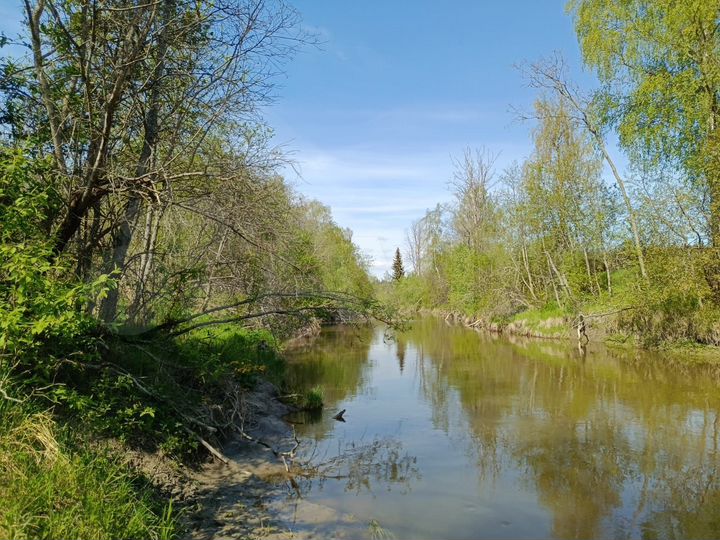 Участок 6 сот. (СНТ, ДНП)