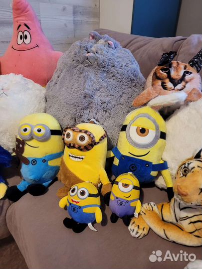 Капибара, миньоны, котики, шлепа, губка Боб, тигр