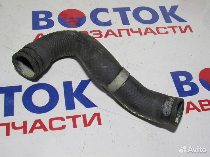 Патрубок радиатора Верх nissan elgrand ATE50, atwe