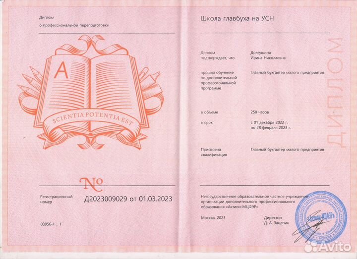 Бухгалтер для ооо и ип