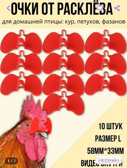 Очки от расклевывания для кур