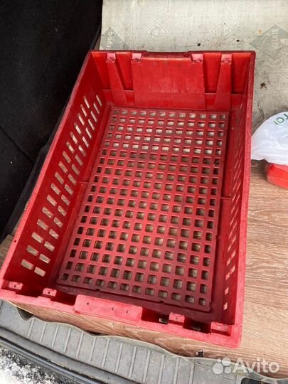 Хлебный ящик, евролоток, конусный, перфорированный