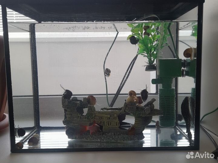 Аквариум с рыбками