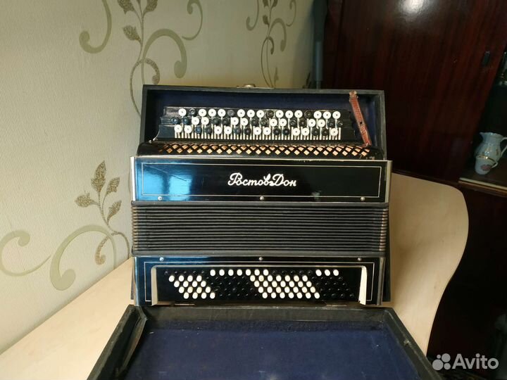 Баян Ростов Дон