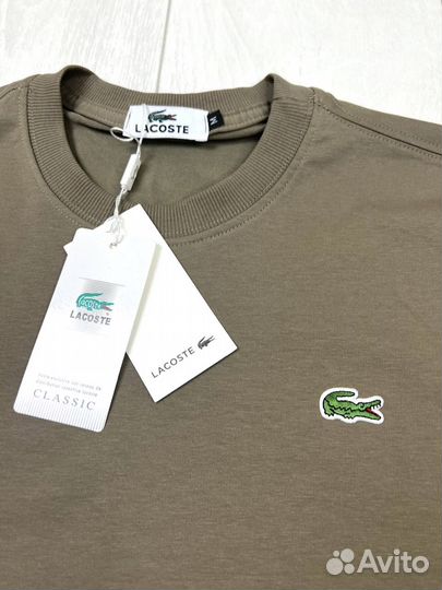 Мужской костюм летний Lacoste двойка Турция