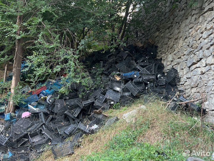 Корзина для фруктов