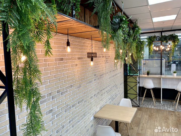 Ягель. Стабилизированный мох.Озеленение.Фитостена