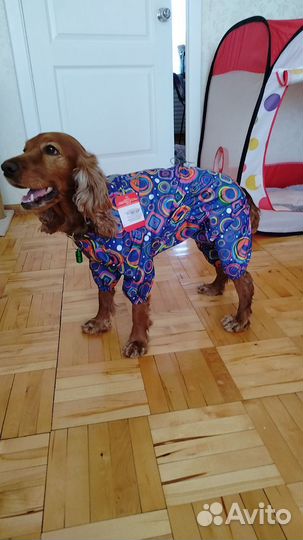 Комбинезон дождевик (самка) бронь