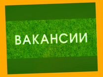 Оператор в цех сборки Работа вахтой Выплаты еженед