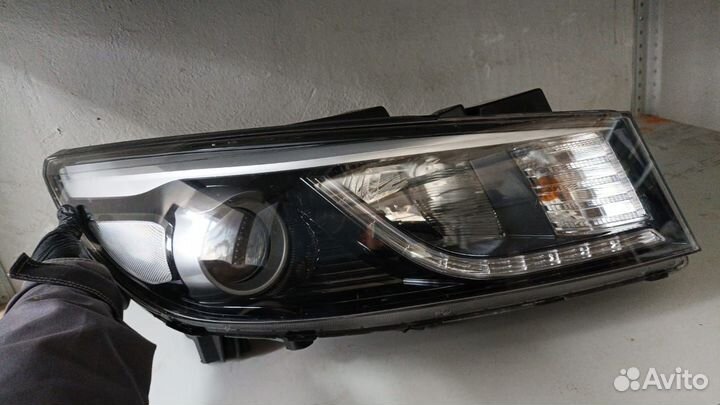 Фара передняя правая Kia Carnival