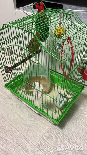 Попугай с клеткой