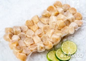 Филе морского гребешка, Курилы