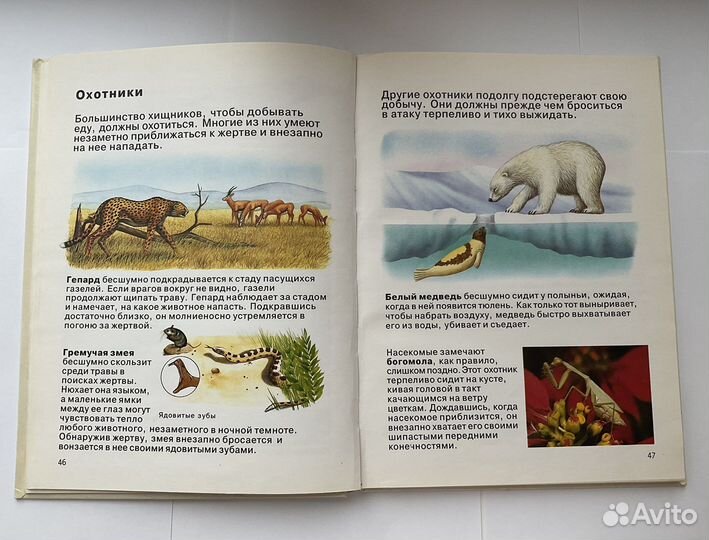 Острова и побережья, Борьба за выживание