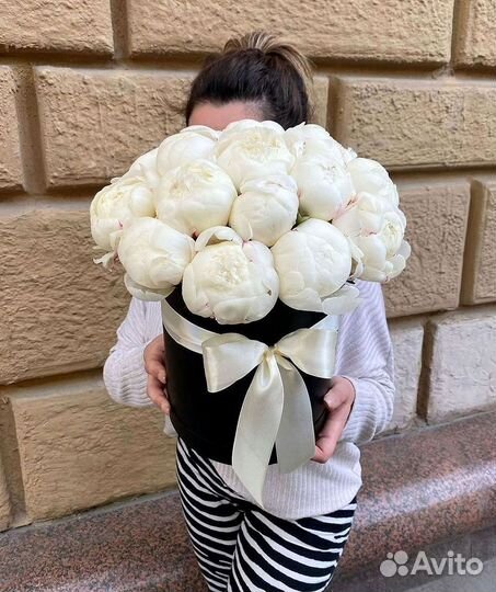 Пионы Букет