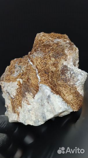 Астрофиллит