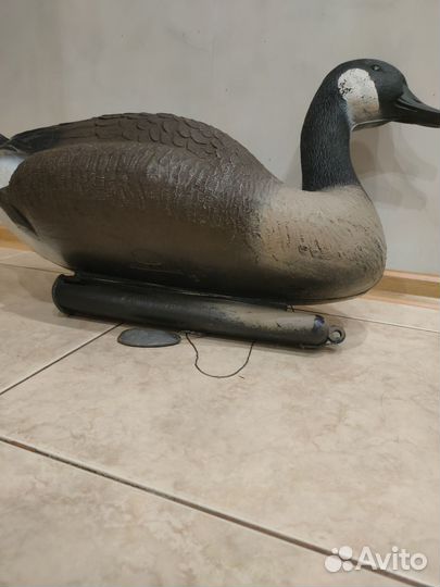 Подсадные гуси 2 шт