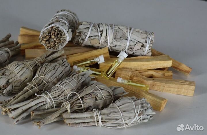 Шалфей Белый от 20шт опт для Озон