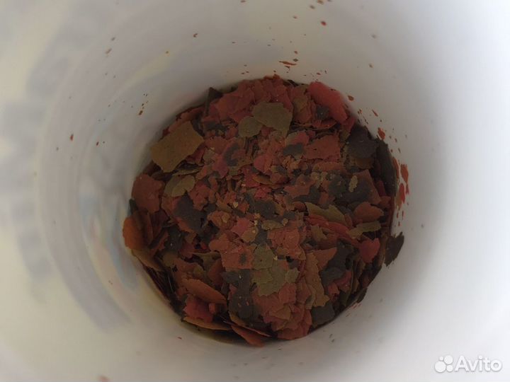 Корм и принадлежности для аквариума