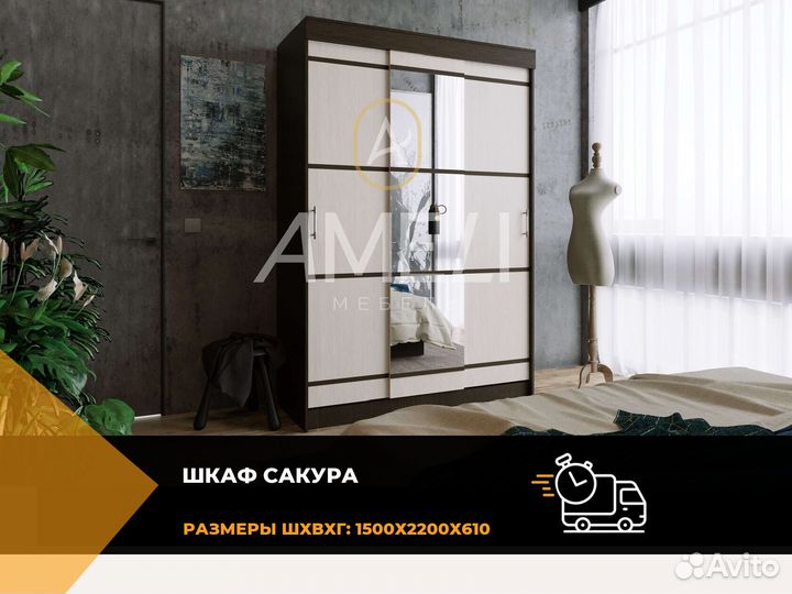 Шкаф купе с зеркалом в комнату