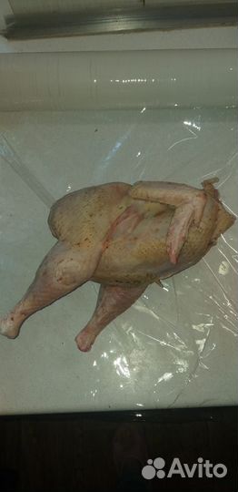 Мясо индейки,бройлера, индоутки, цесарки