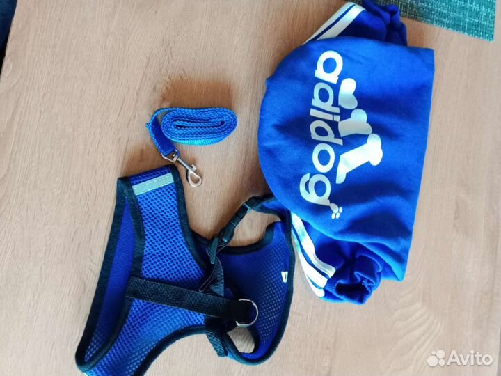 Кофта и шлейка с поводком для маленьких собак