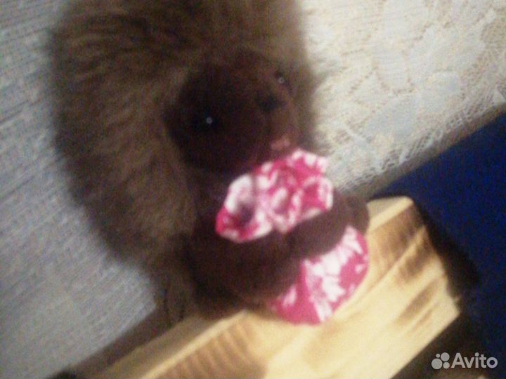 Игрушка мягкая Ёжик в тумане