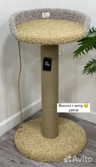 Когтеточка