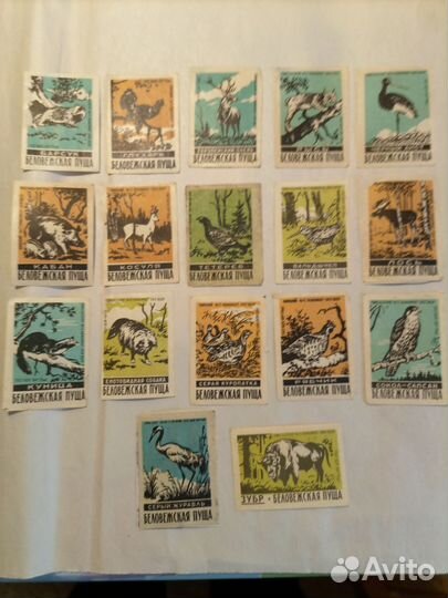 Спичечные этикетки СССР. Беловежская пуща