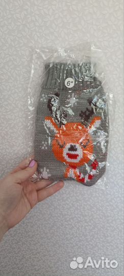 Одежда для собак