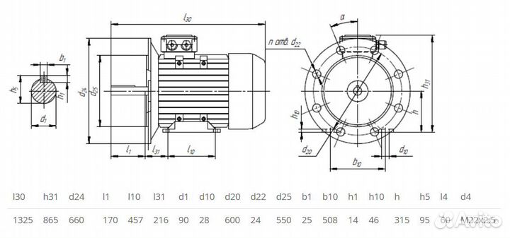 Электродвигатель 5аи 315 М8 (110кВт / 750об)