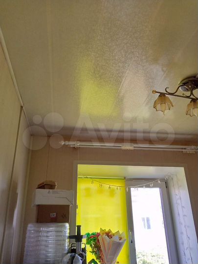 1-к. квартира, 31,5 м², 1/2 эт.