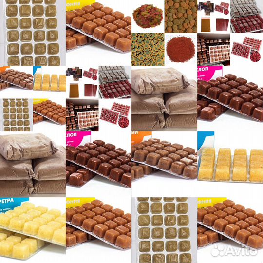 Разнообразие Замороженных И Сухих Кормов