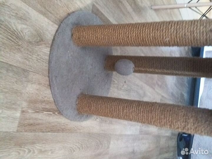 Кошачий домик