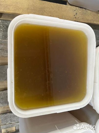 Эспарцетовый мёд оптом сбор 2023 года